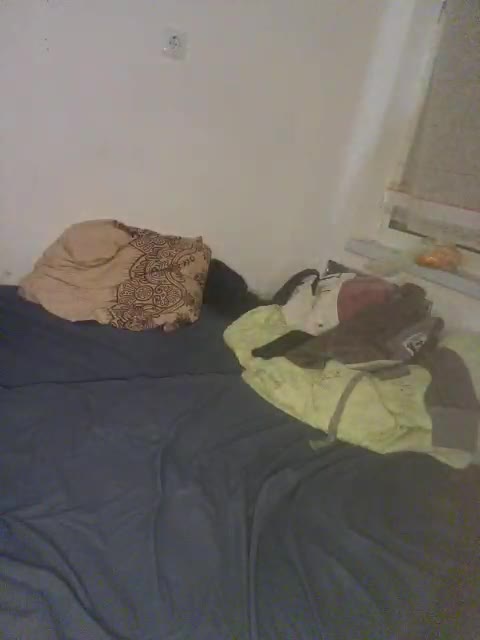 View or download file oksvit1990 on 2023-01-06 from bongacams