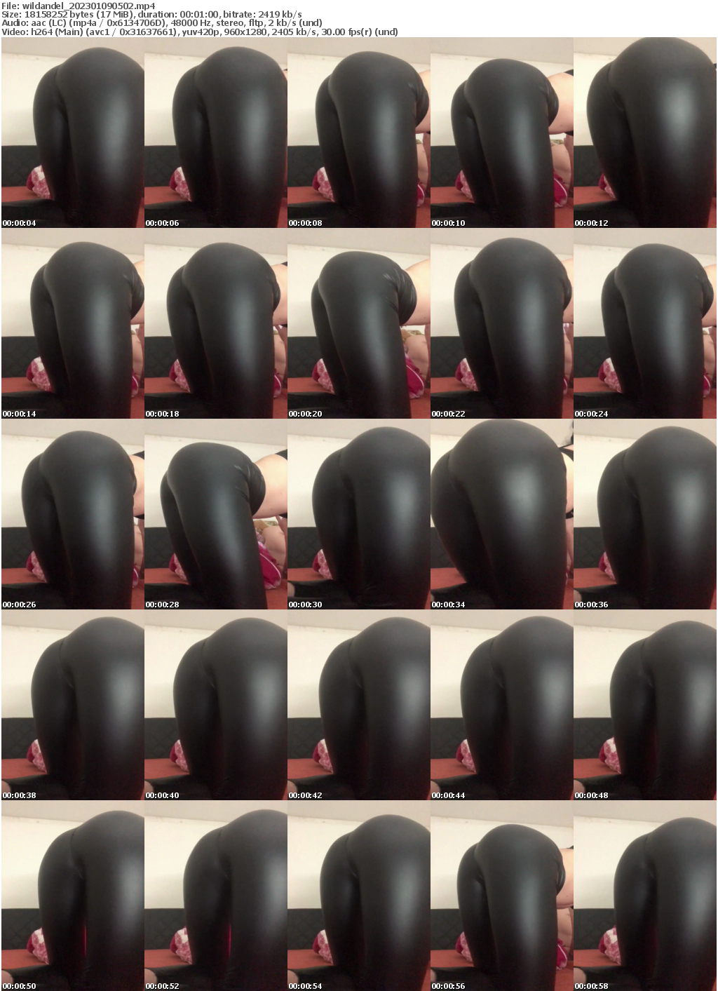 Preview thumb from wildandel on 2023-01-09 @ bongacams