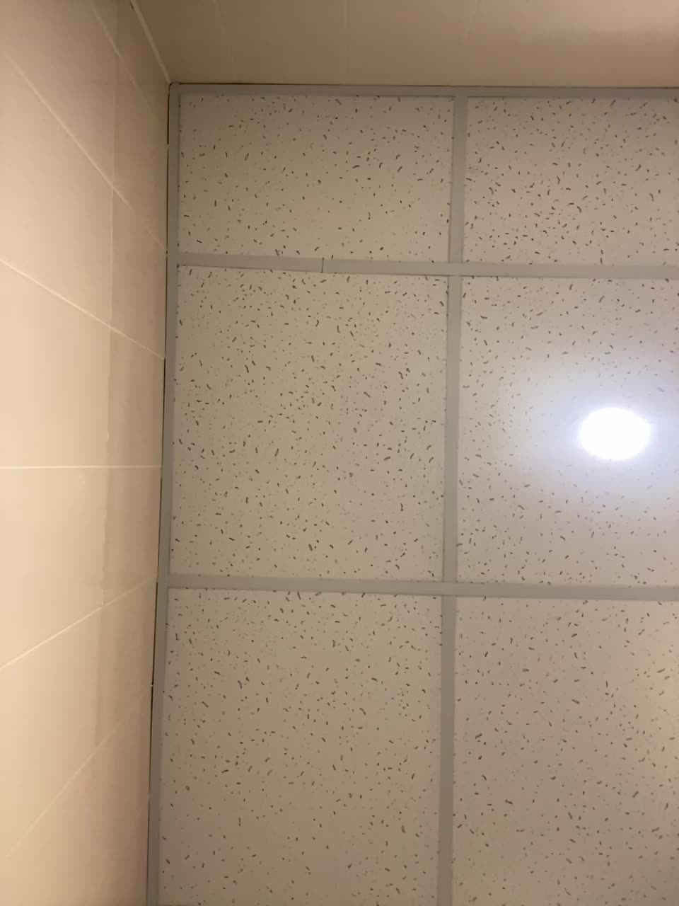 View or download file marmeladdka on 2023-01-12 from bongacams