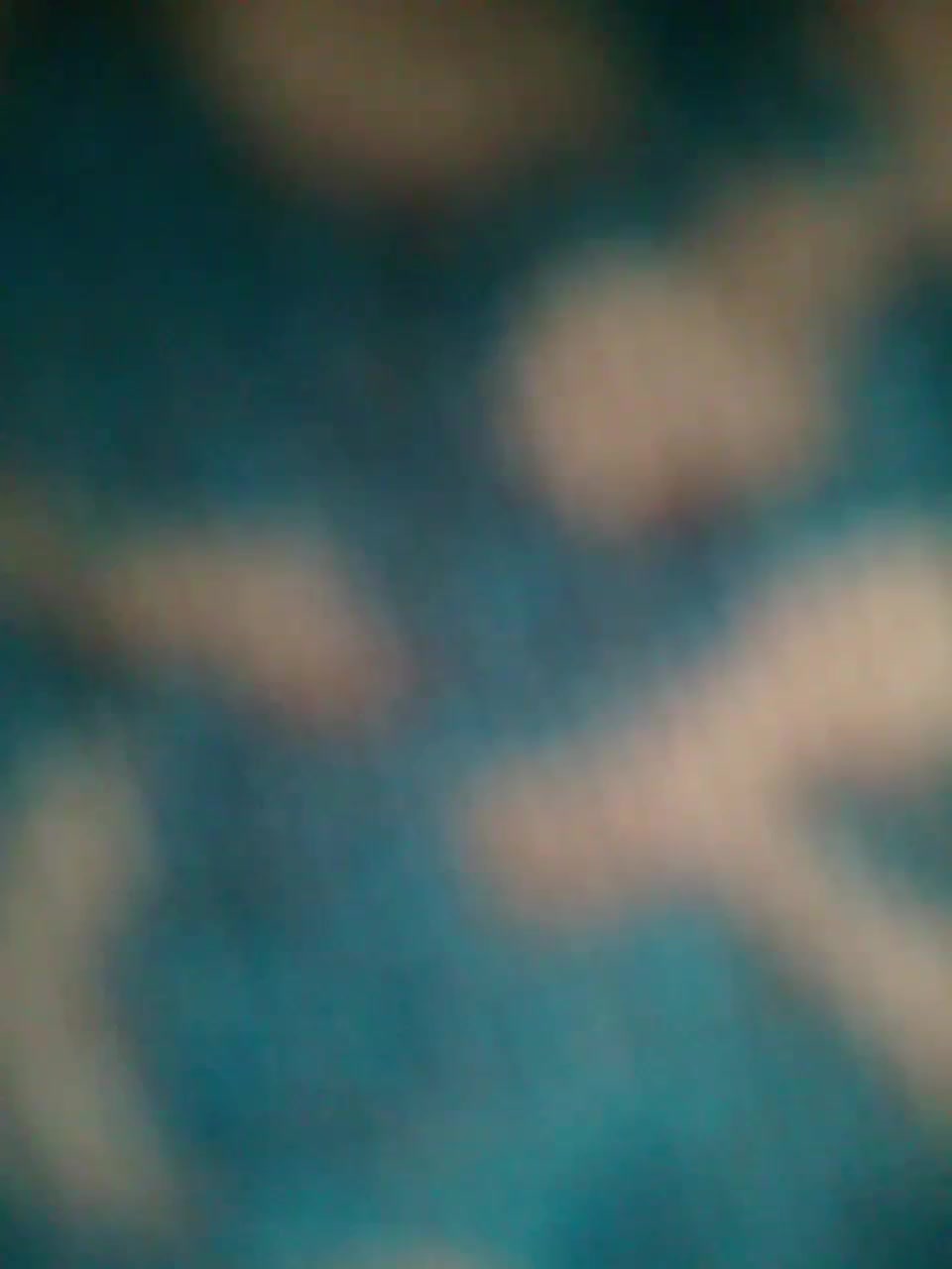 View or download file sol_sahar on 2023-01-12 from bongacams