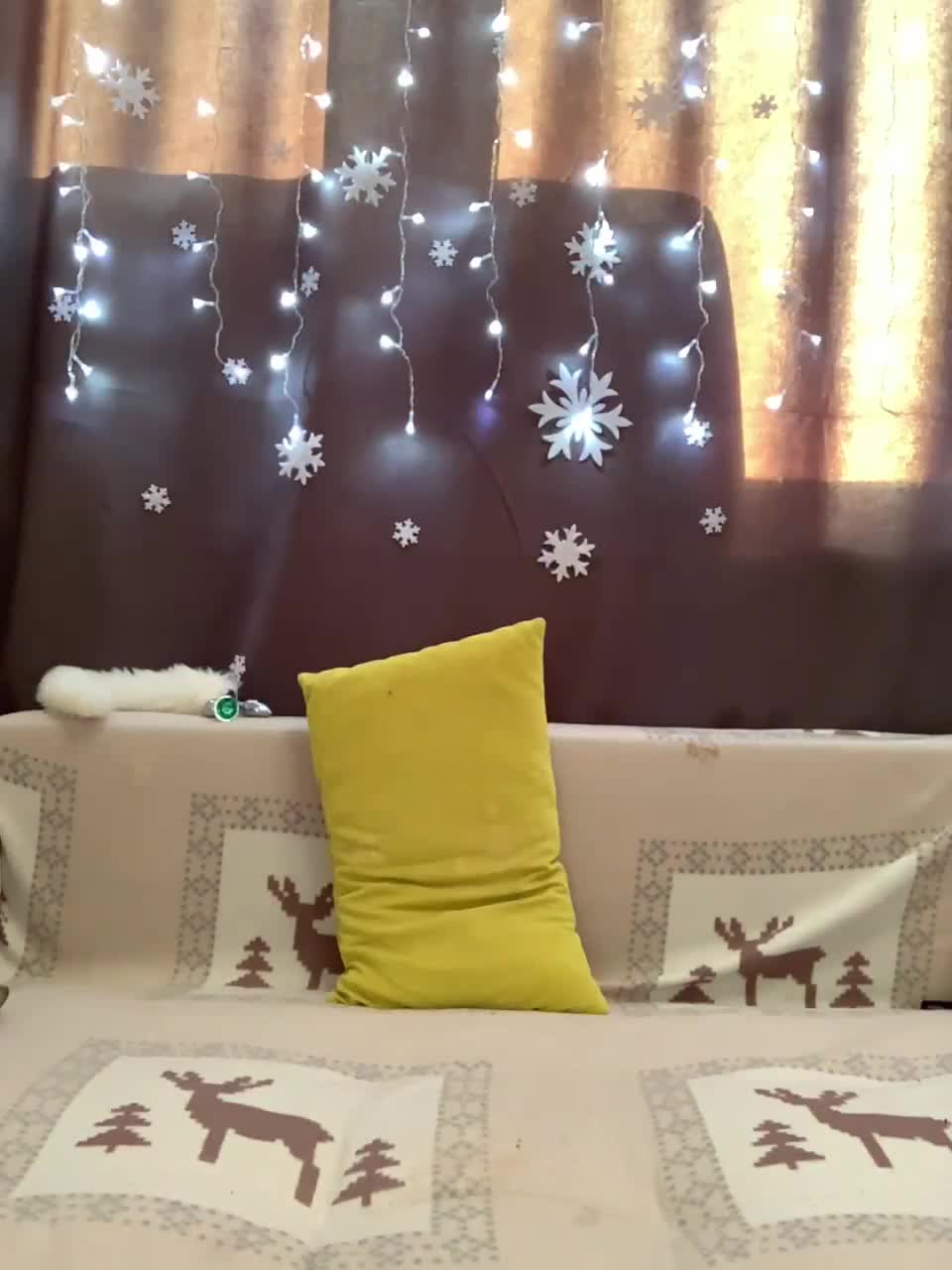 View or download file mispopi on 2023-01-13 from bongacams