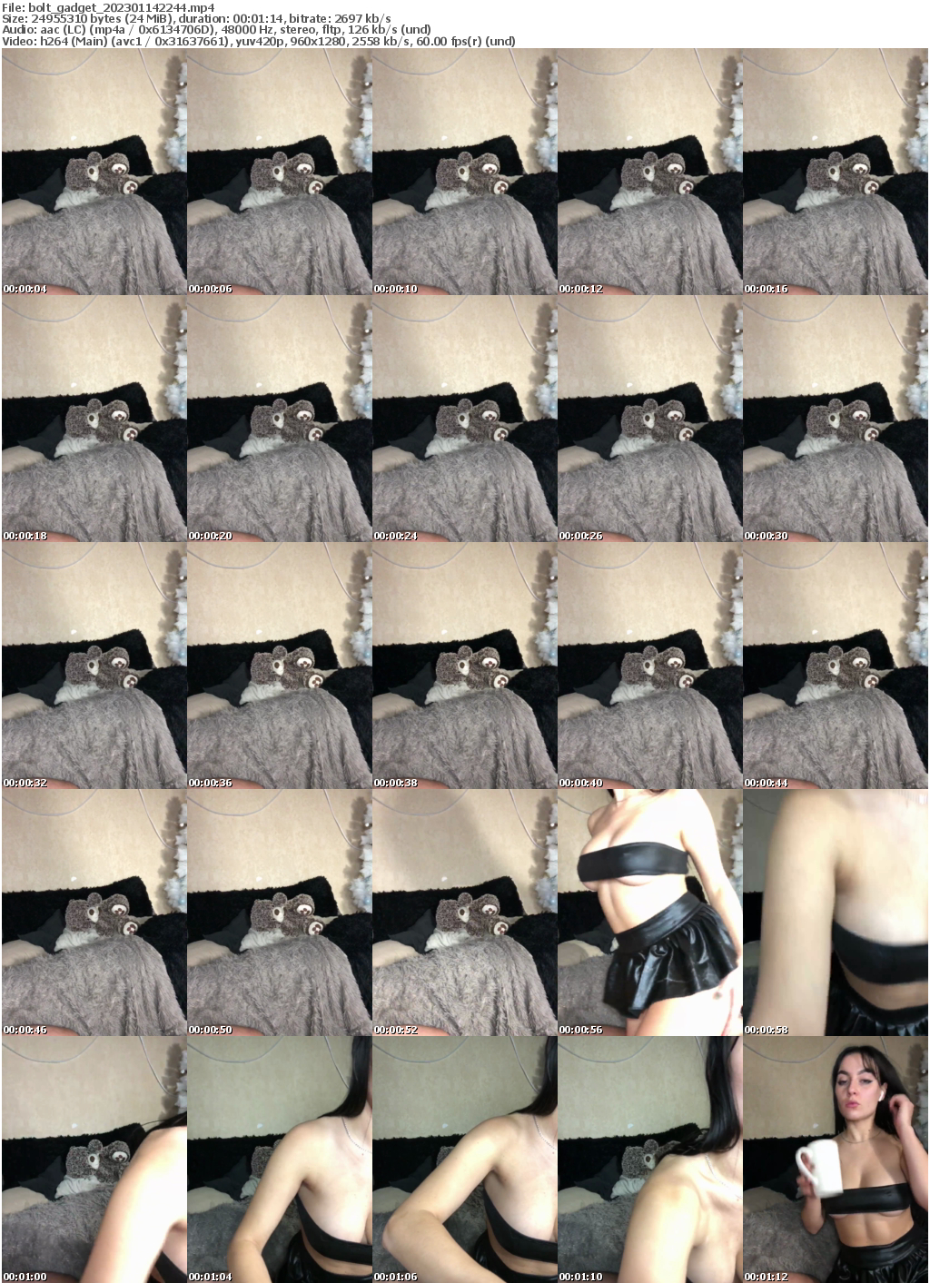 Preview thumb from bolt_gadget on 2023-01-14 @ bongacams