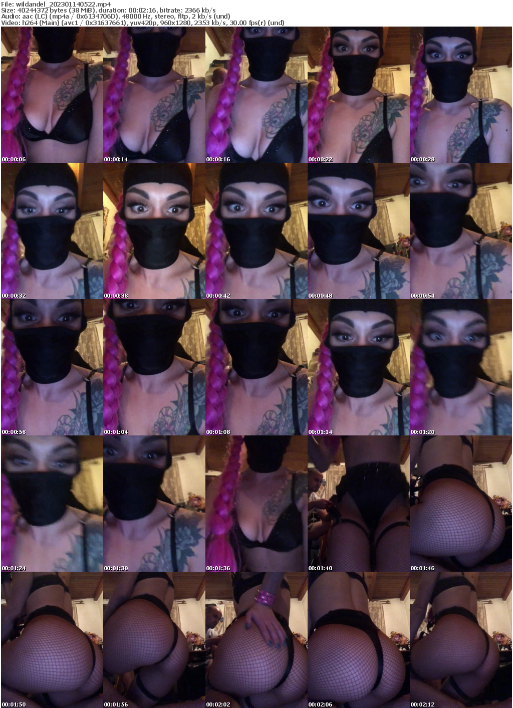 Preview thumb from wildandel on 2023-01-14 @ bongacams