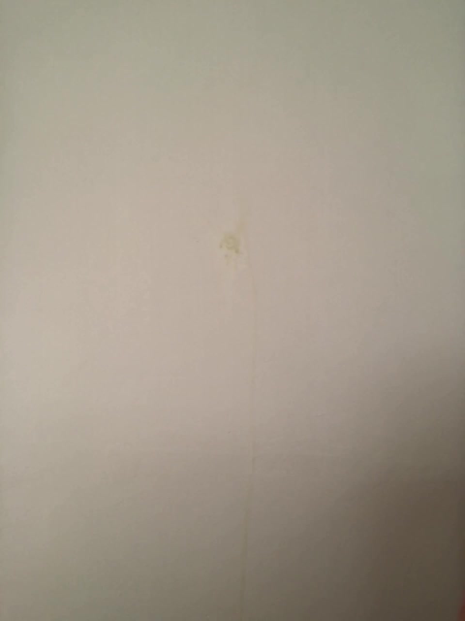 View or download file wildandel on 2023-01-14 from bongacams