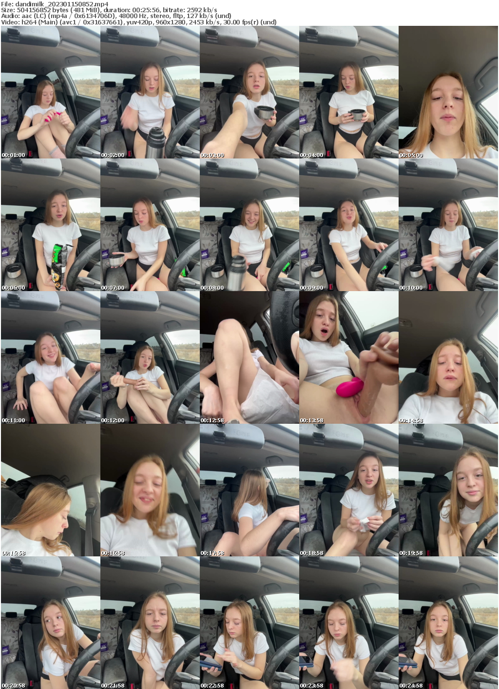 Preview thumb from dandimilk on 2023-01-15 @ bongacams