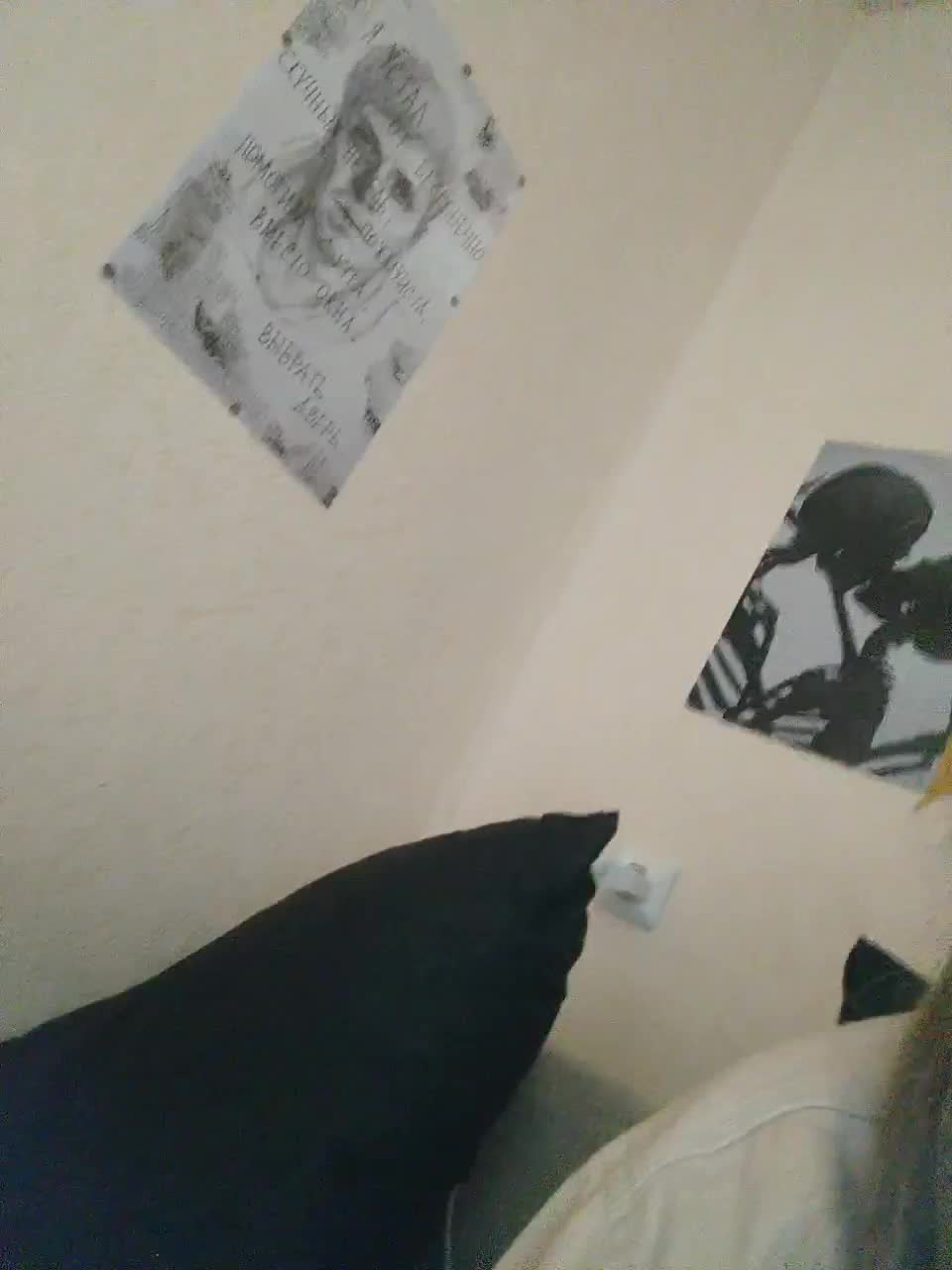 View or download file littledelora on 2023-01-15 from bongacams