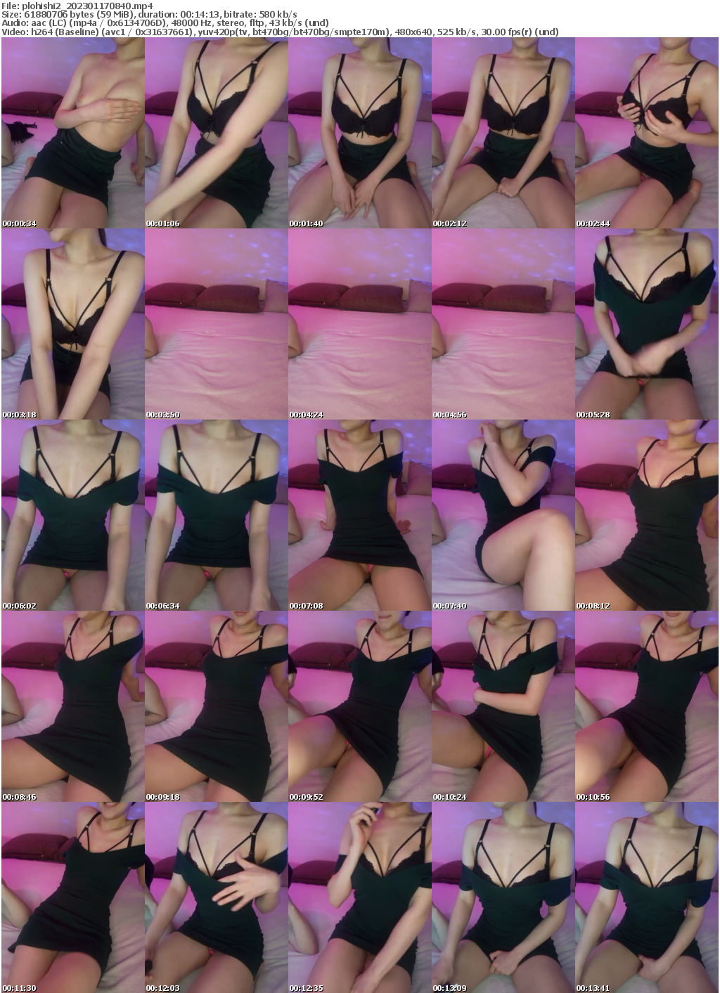 Preview thumb from plohishi2 on 2023-01-17 @ bongacams