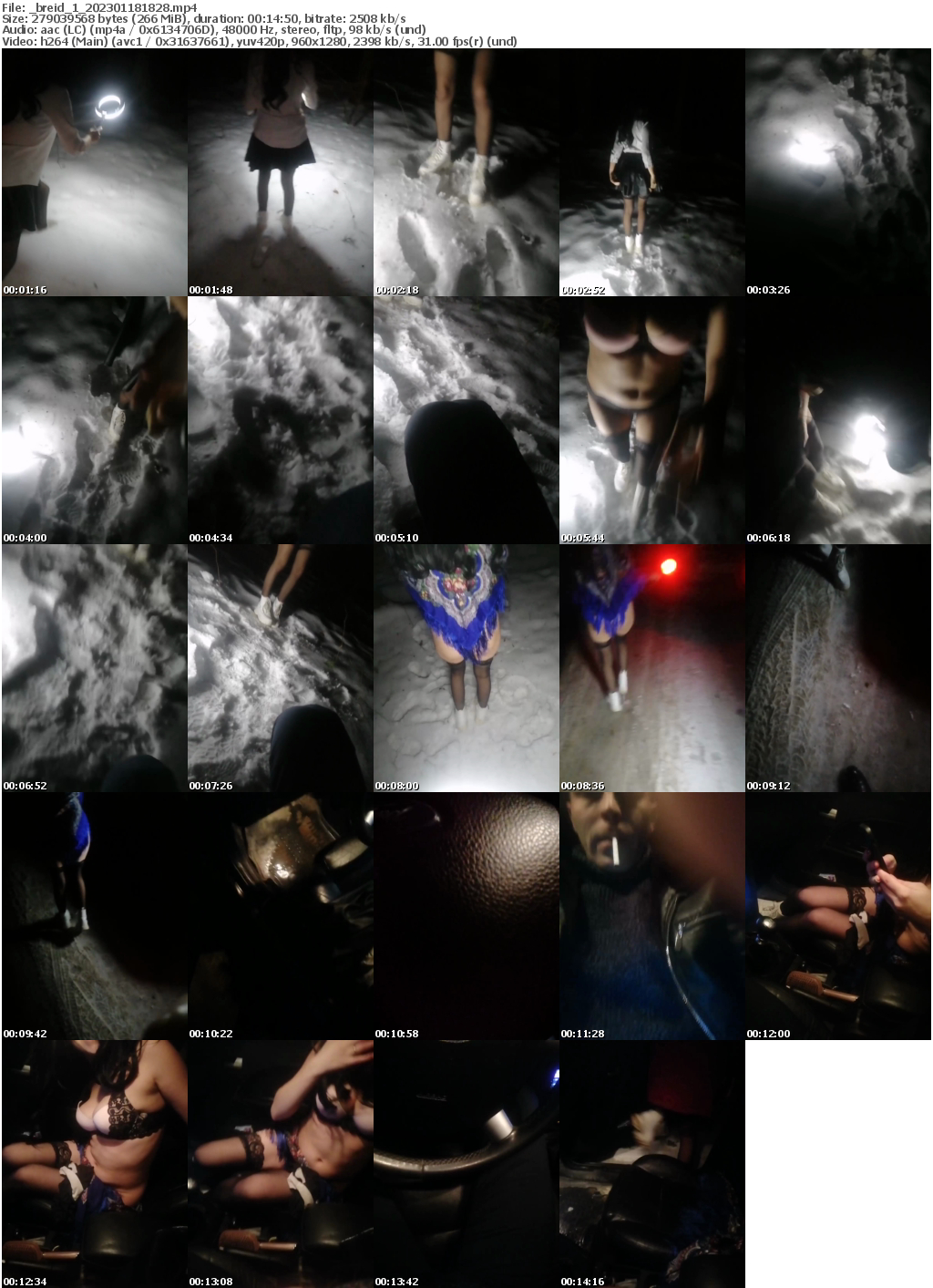 Preview thumb from _breid_1 on 2023-01-18 @ bongacams