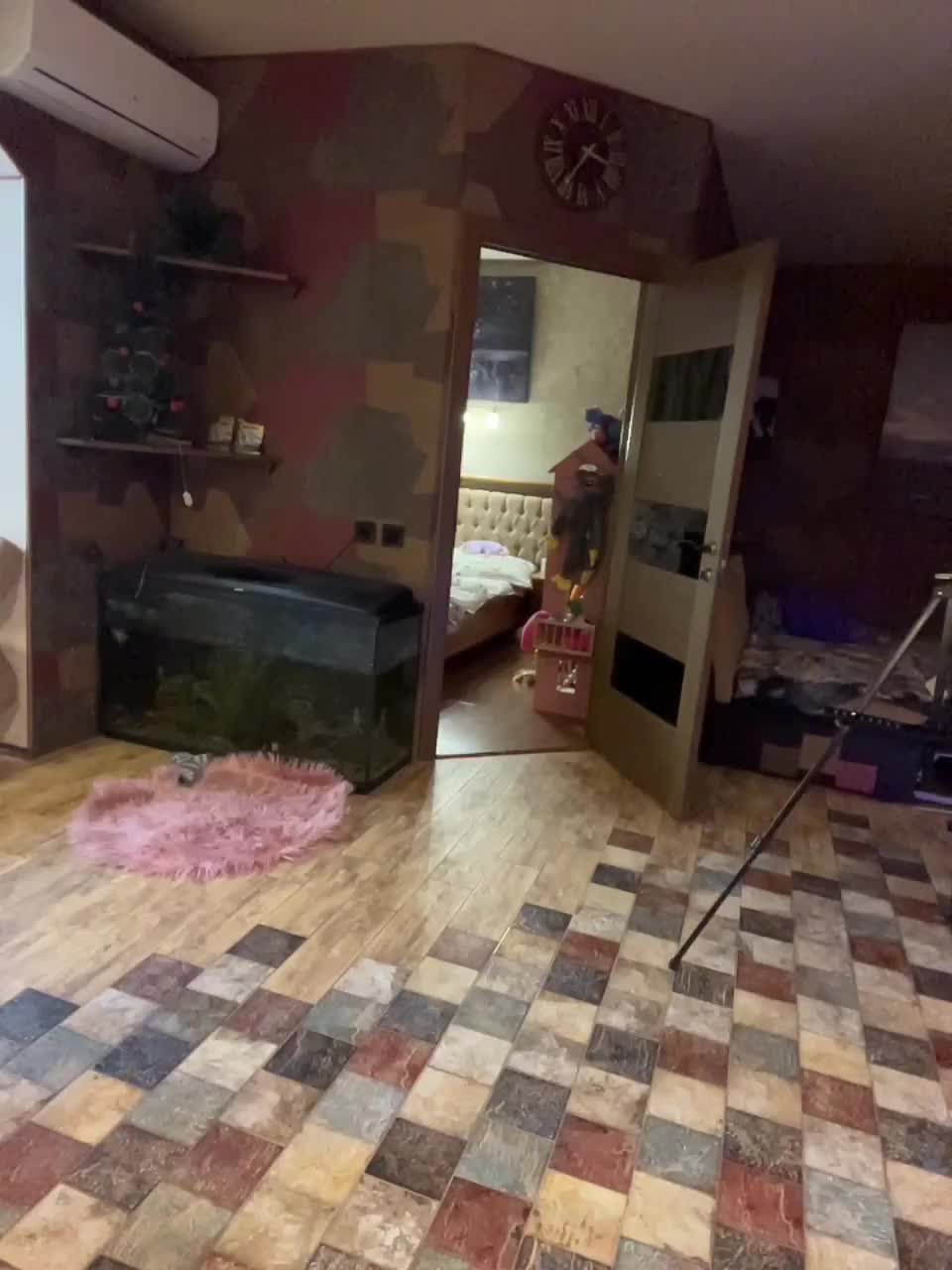 View or download file realityshow on 2023-01-19 from bongacams