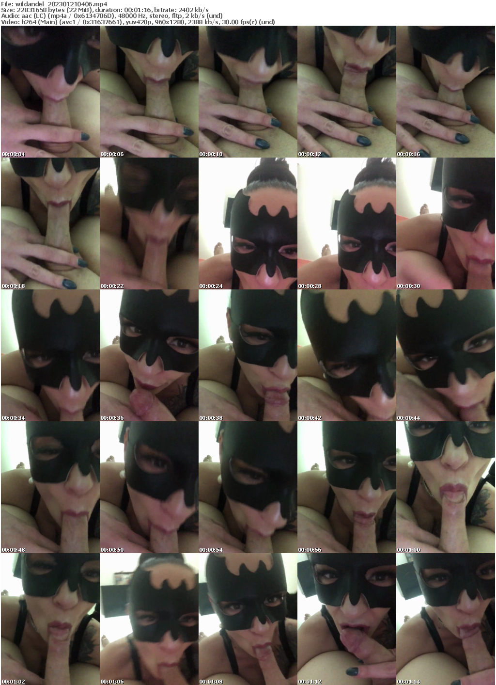 Preview thumb from wildandel on 2023-01-21 @ bongacams