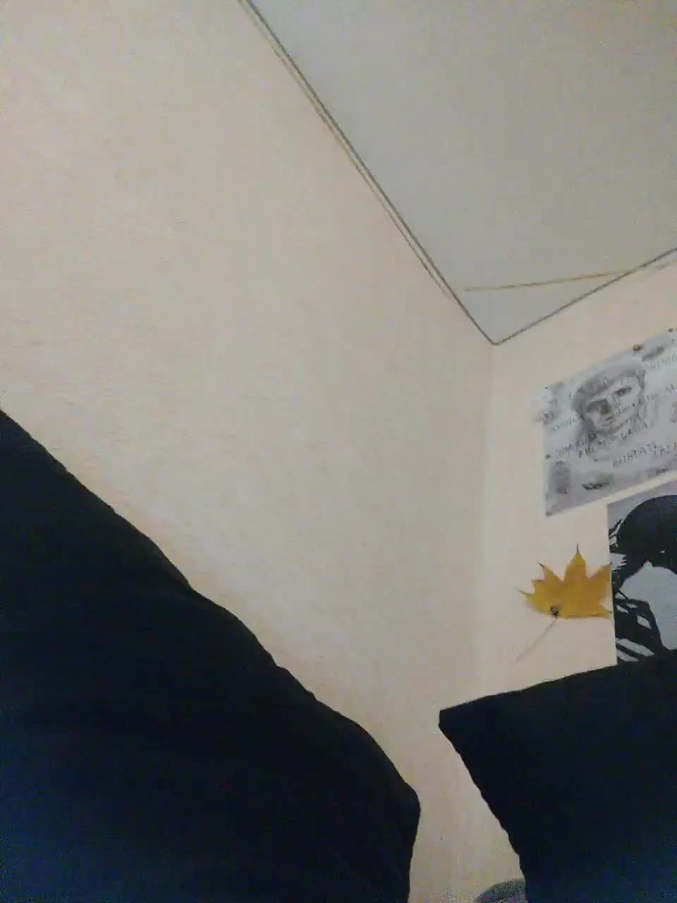 View or download file littledelora on 2023-01-26 from bongacams