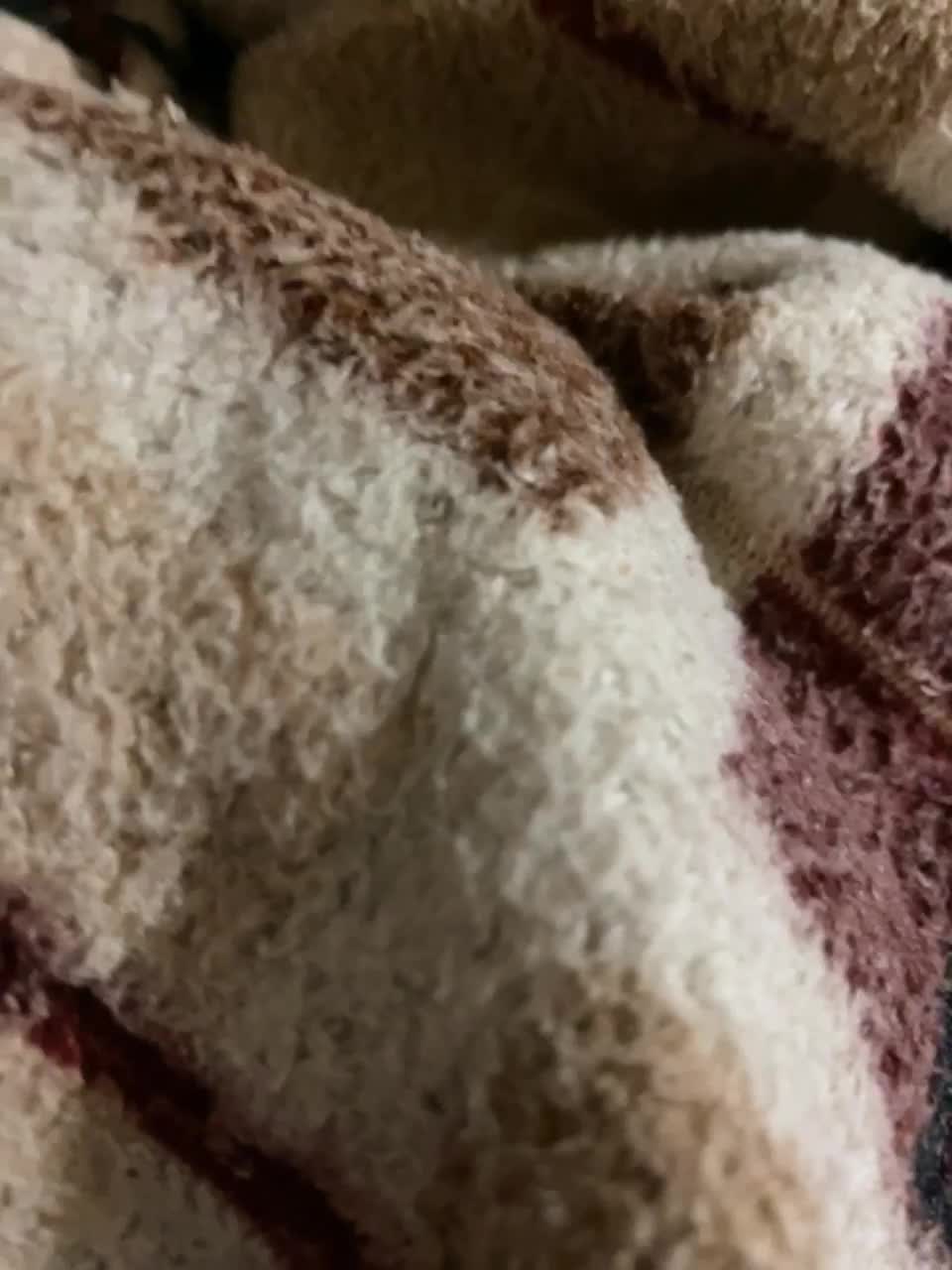 View or download file sexpara2022lo on 2023-01-26 from bongacams