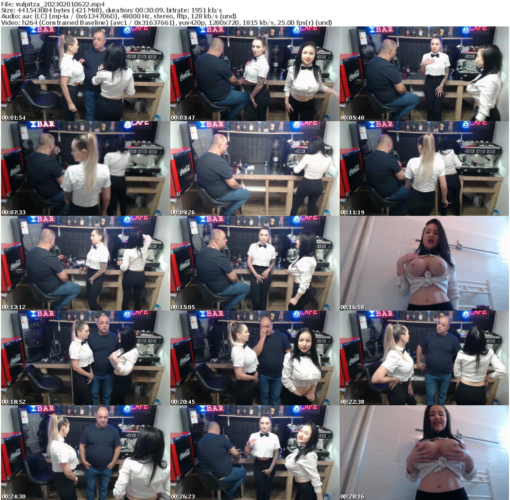 Preview thumb from vulpitza on 2023-02-01 @ bongacams