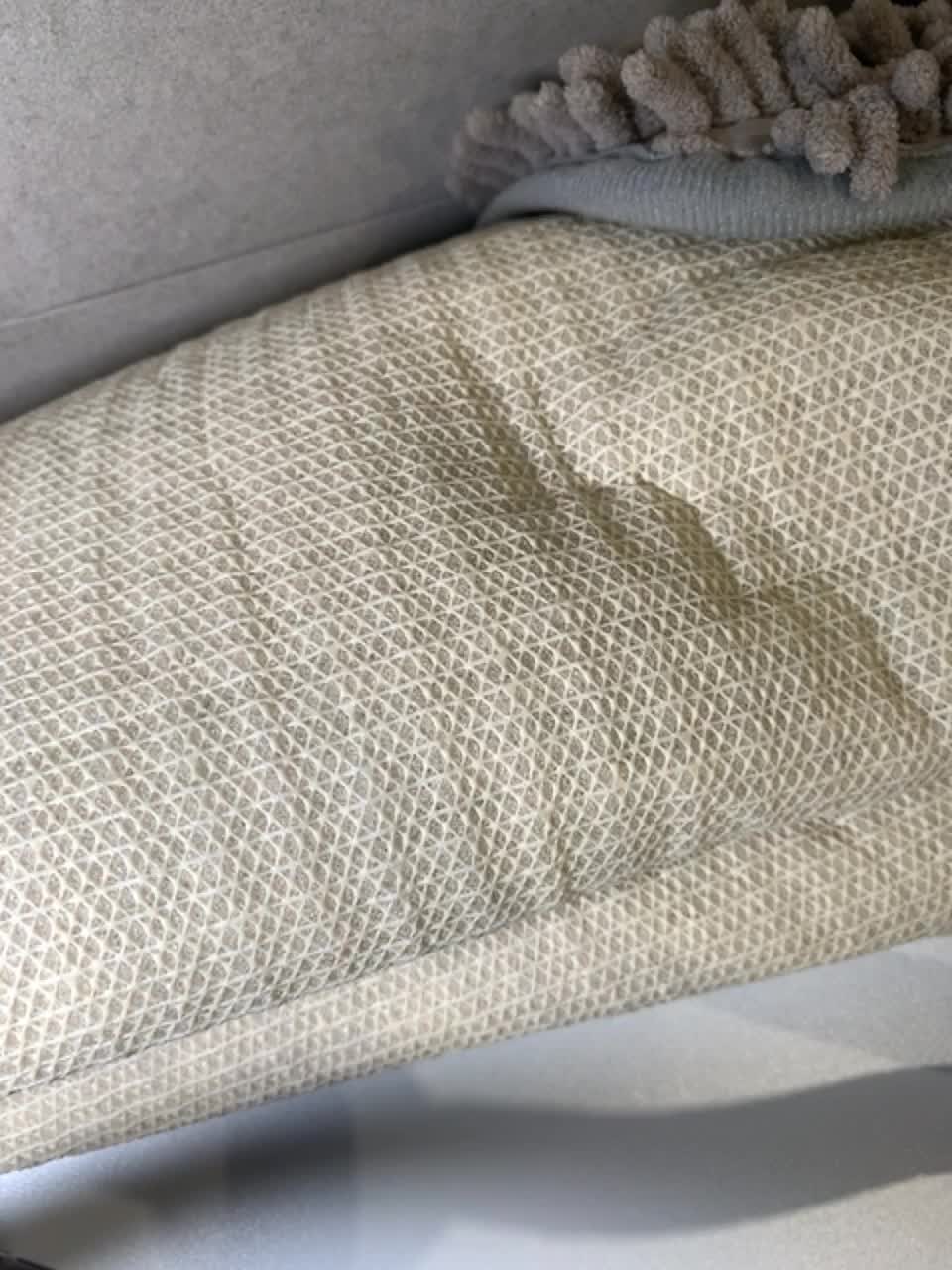 View or download file aieks_mariana on 2023-02-03 from bongacams