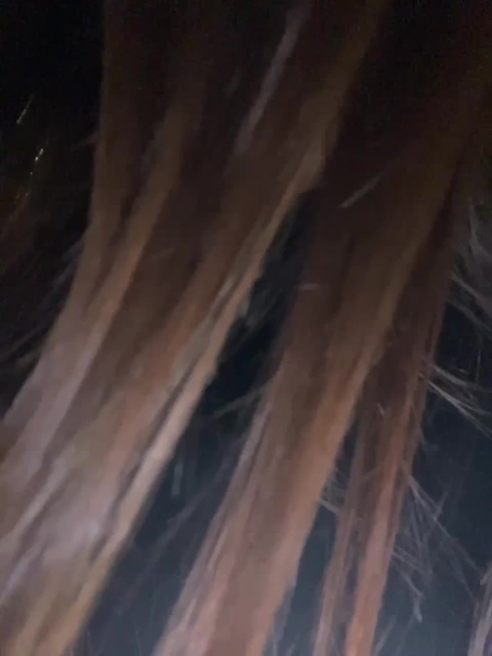 View or download file monikayyy on 2023-02-03 from bongacams