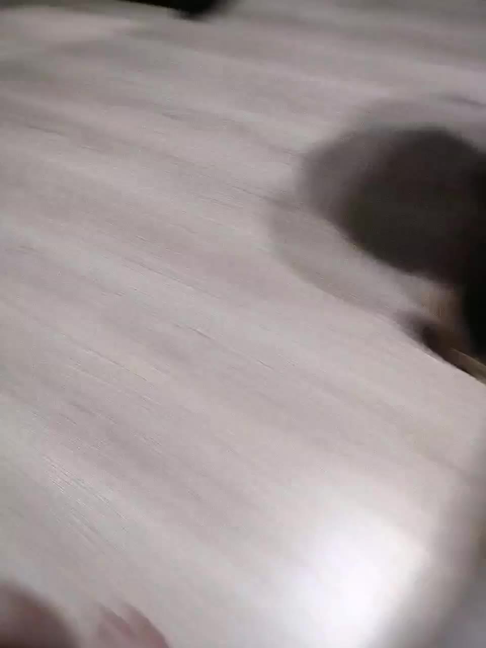 View or download file endorfin1975 on 2023-02-05 from bongacams