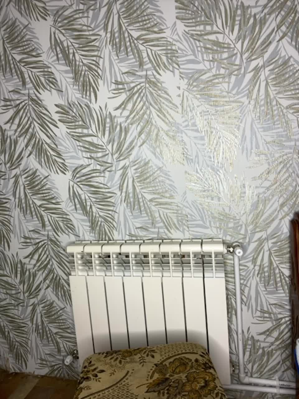 View or download file dandimilk on 2023-02-08 from bongacams