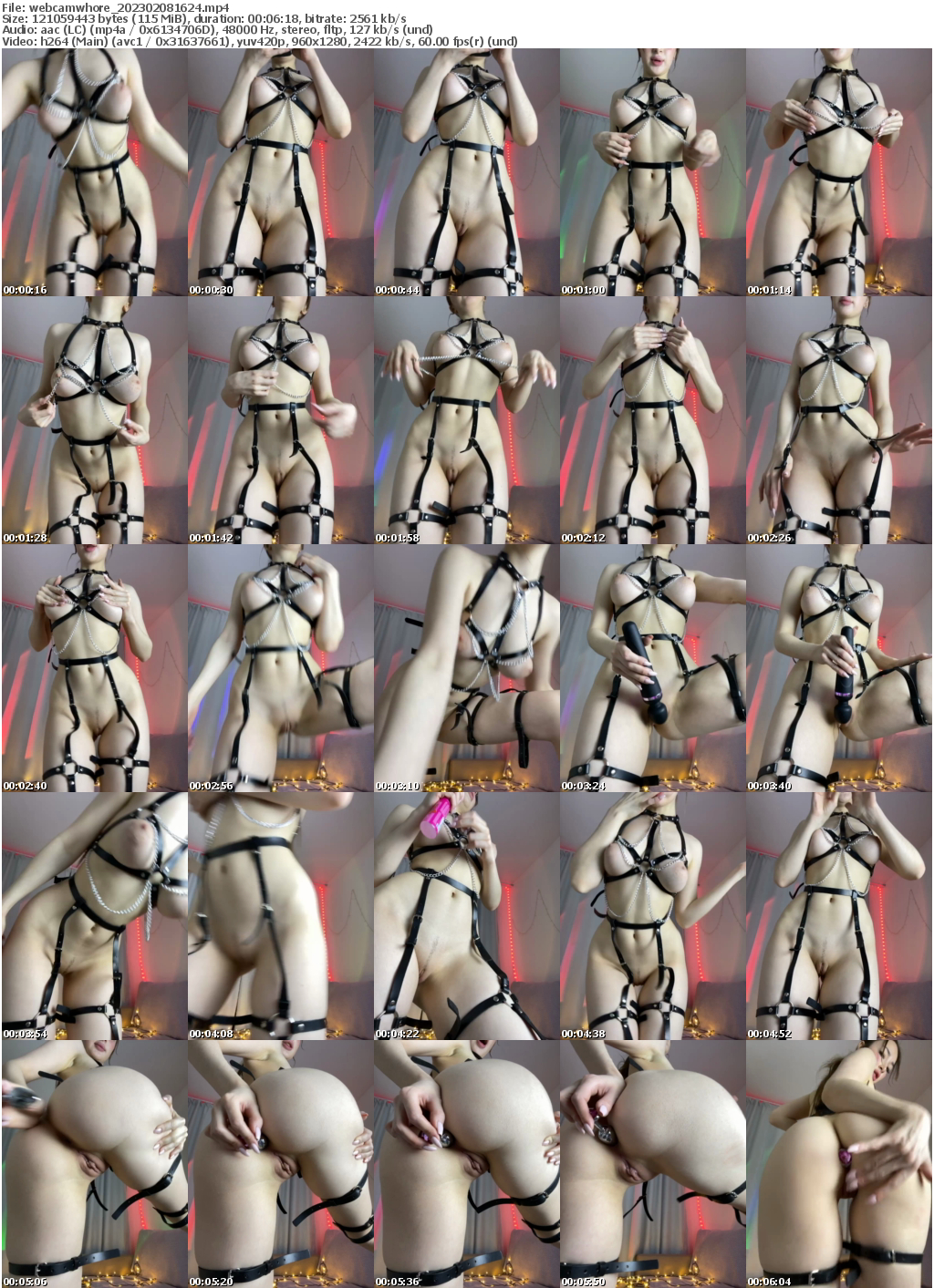 Preview thumb from webcamwhore on 2023-02-08 @ bongacams