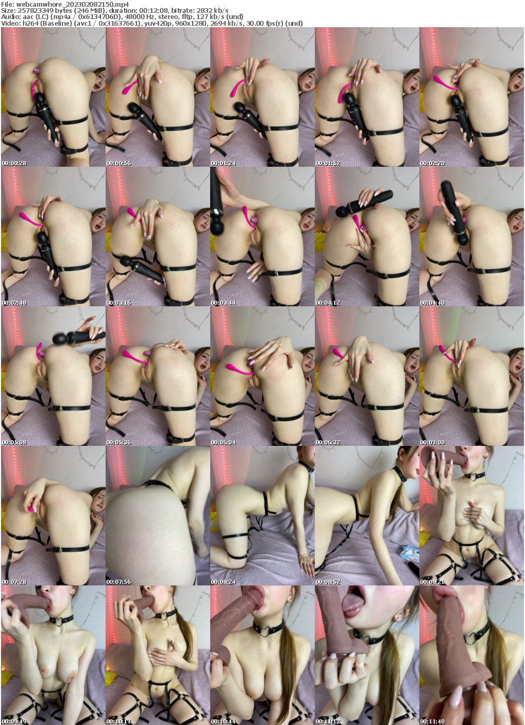 Preview thumb from webcamwhore on 2023-02-08 @ bongacams