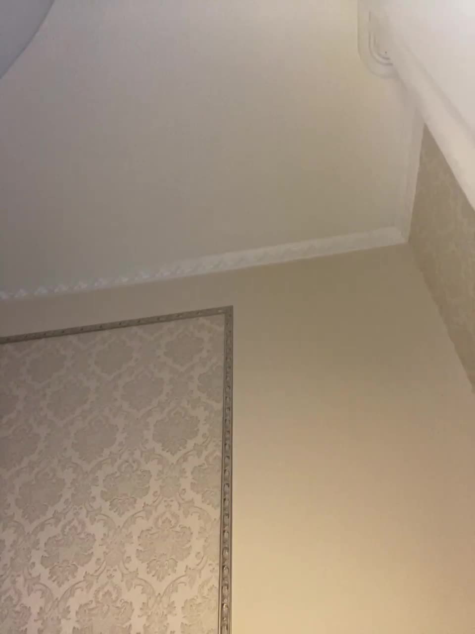 View or download file _venice_ on 2023-02-10 from bongacams