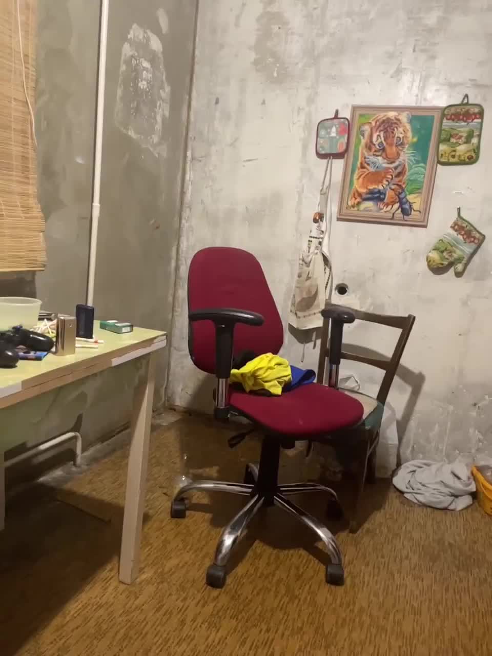 View or download file lovepupsa888 on 2023-02-11 from bongacams