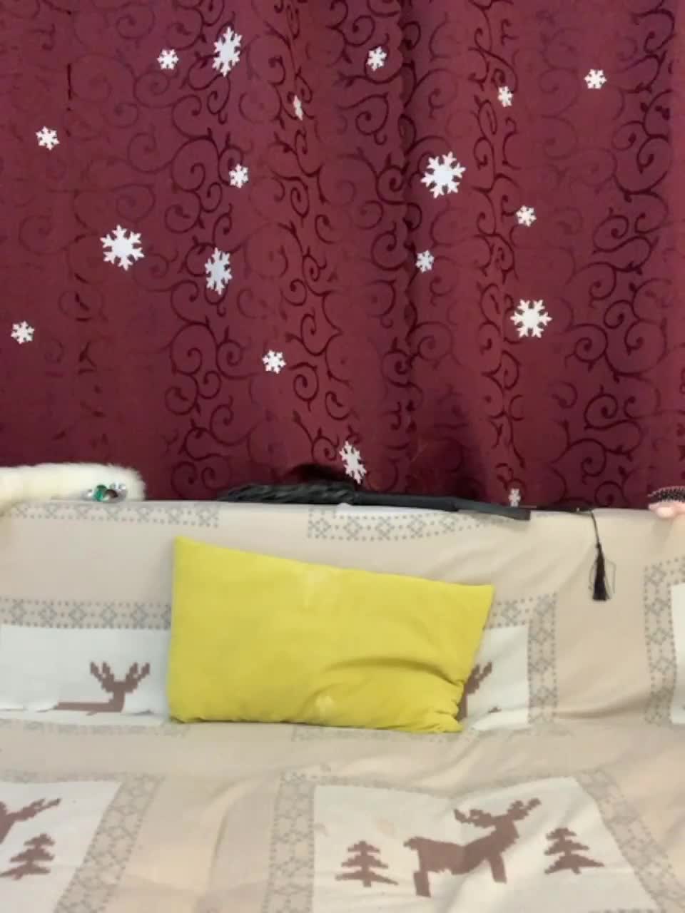 View or download file mispopi on 2023-02-12 from bongacams