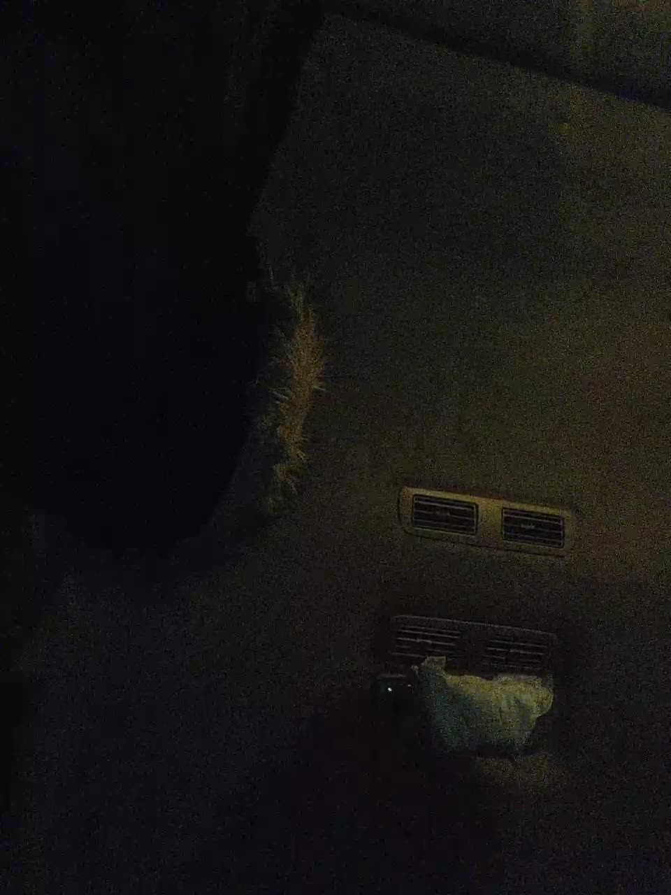 View or download file bangbangco on 2023-02-13 from bongacams