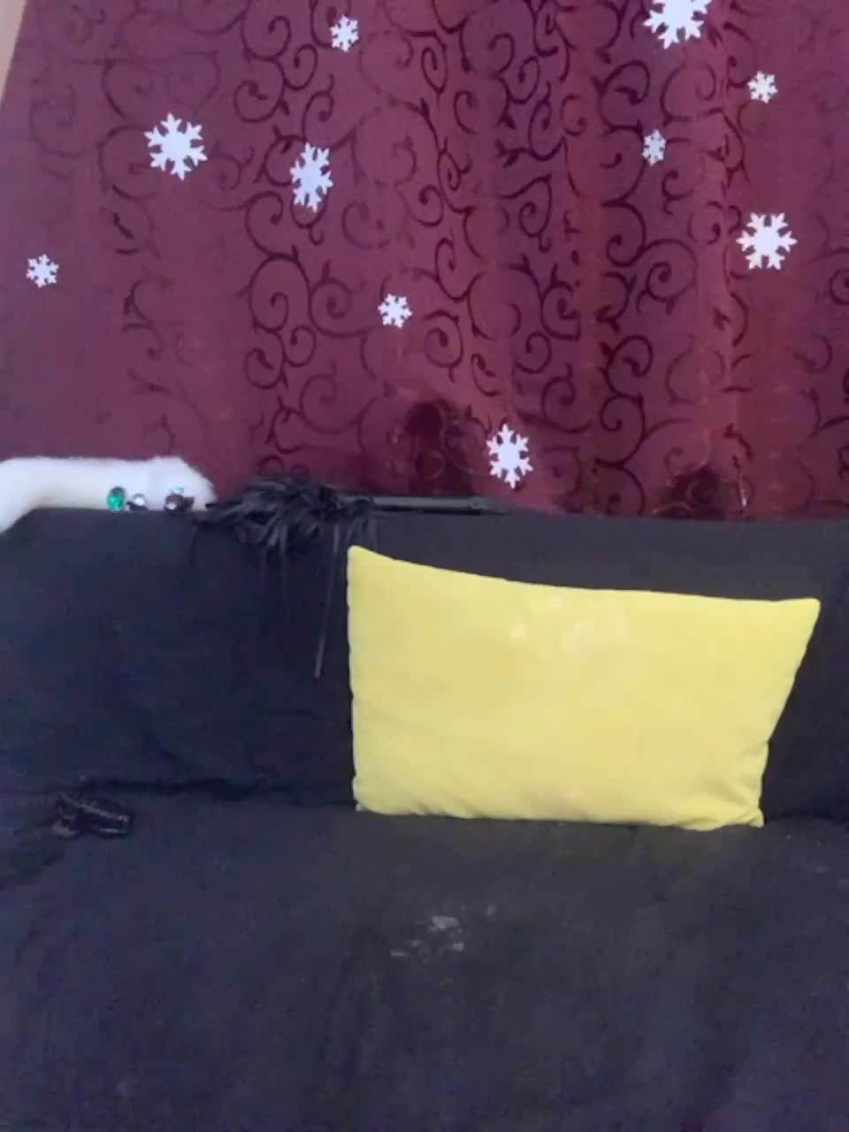 View or download file mispopi on 2023-02-14 from bongacams