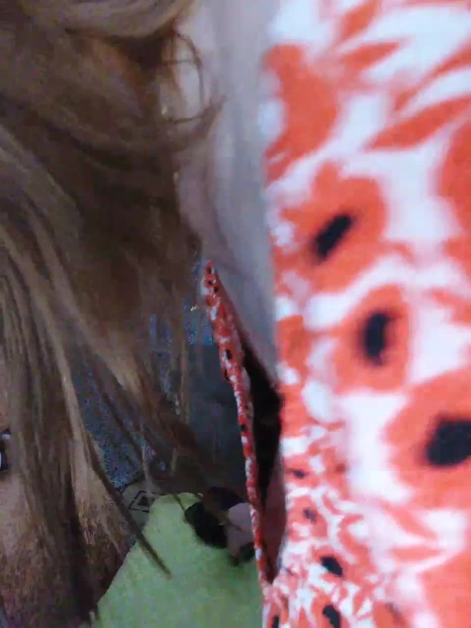 View or download file __allochka__ on 2023-02-15 from bongacams