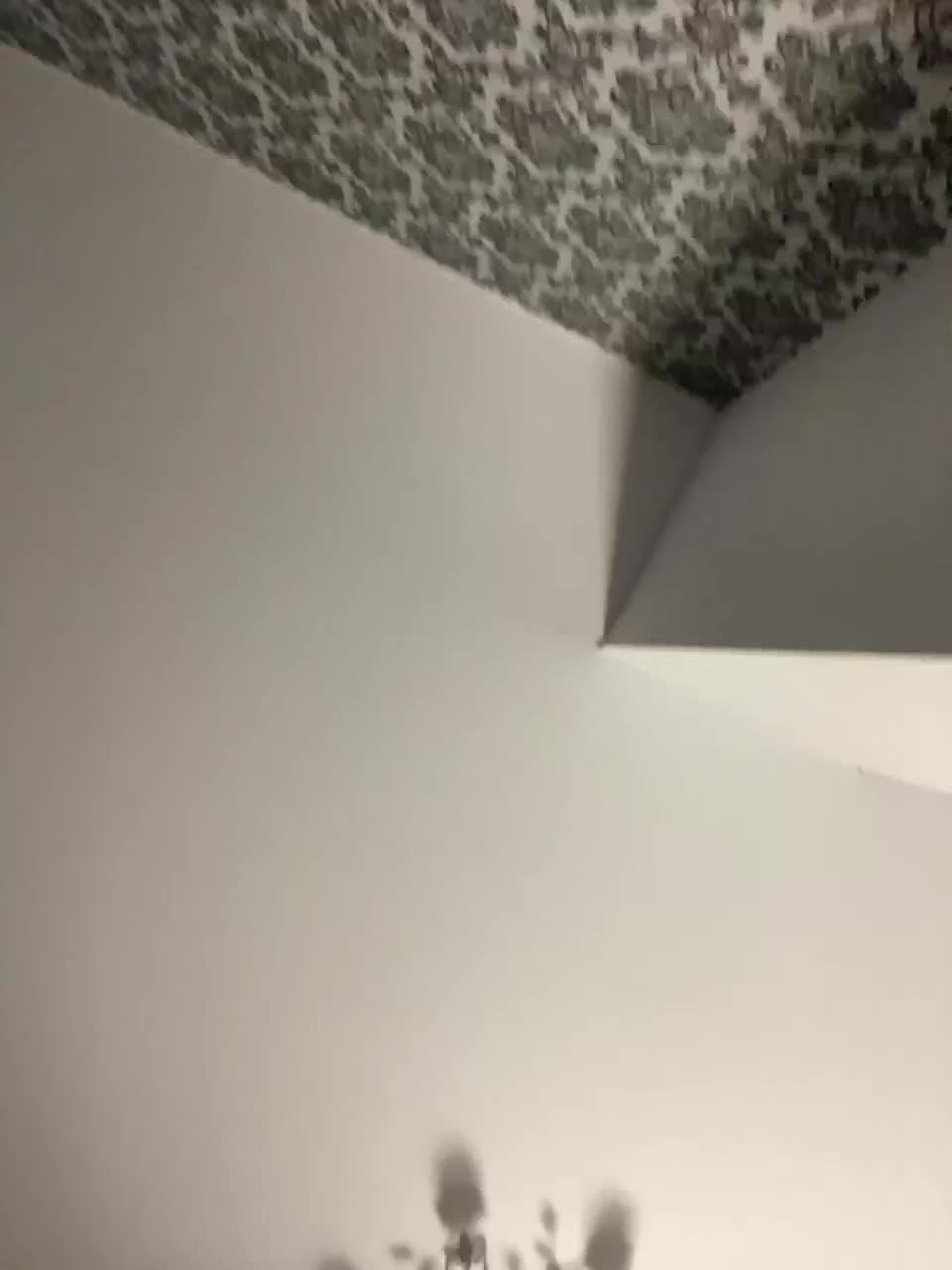 View or download file x_nastya_x on 2023-02-15 from bongacams