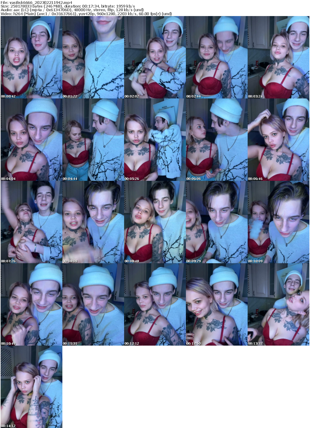 Preview thumb from vasilisk6666 on 2023-02-21 @ bongacams