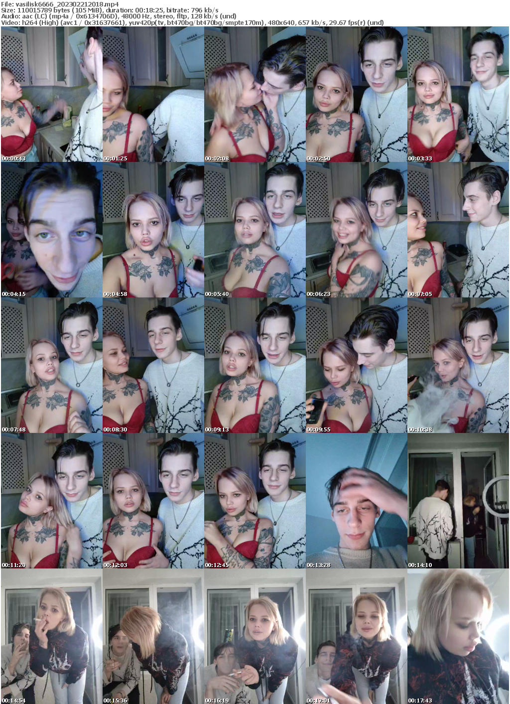 Preview thumb from vasilisk6666 on 2023-02-21 @ bongacams