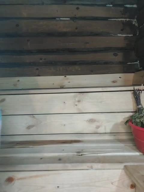 View or download file mussypussy222 on 2023-02-22 from bongacams