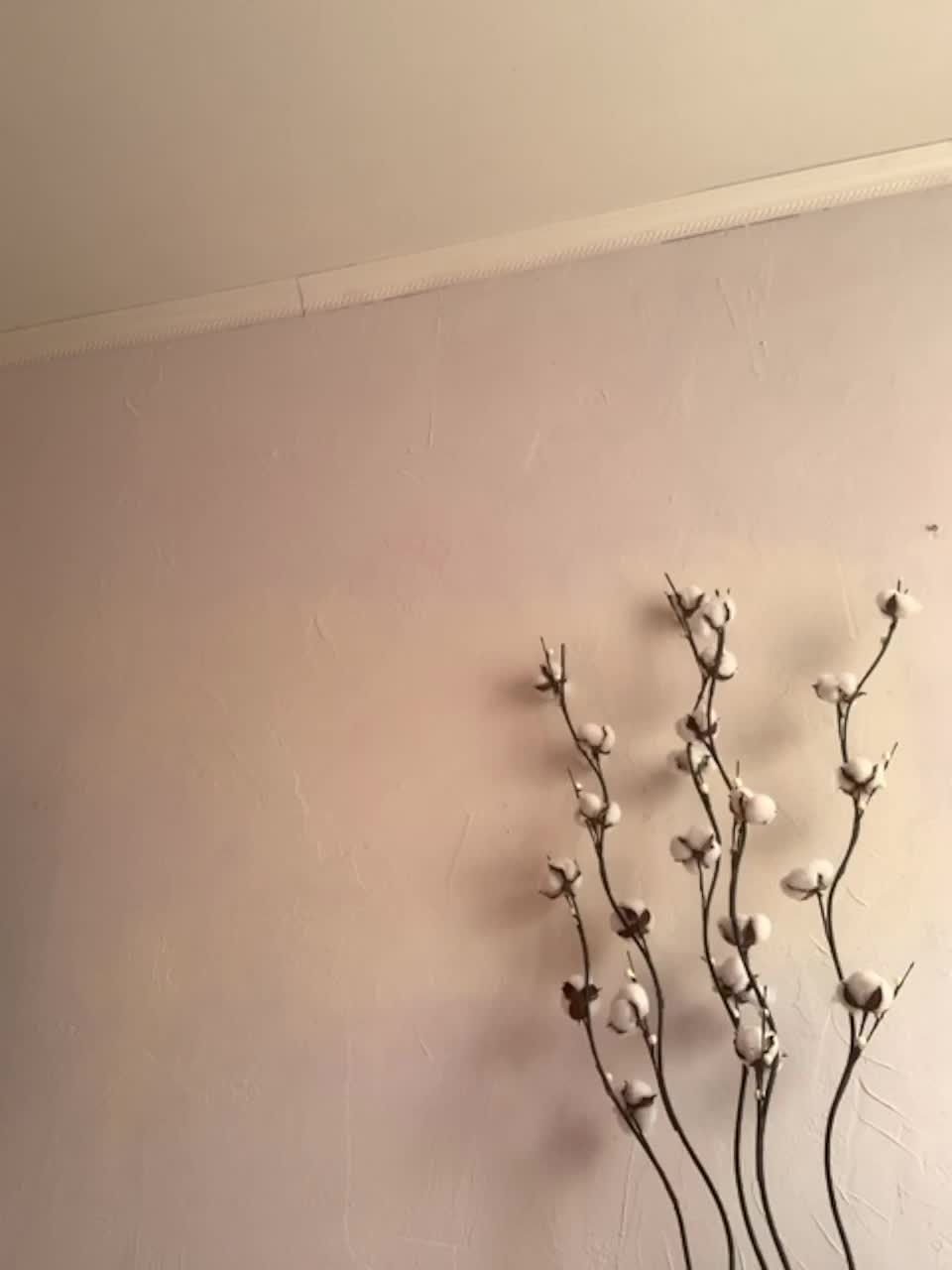 View or download file shawty420 on 2023-02-22 from bongacams