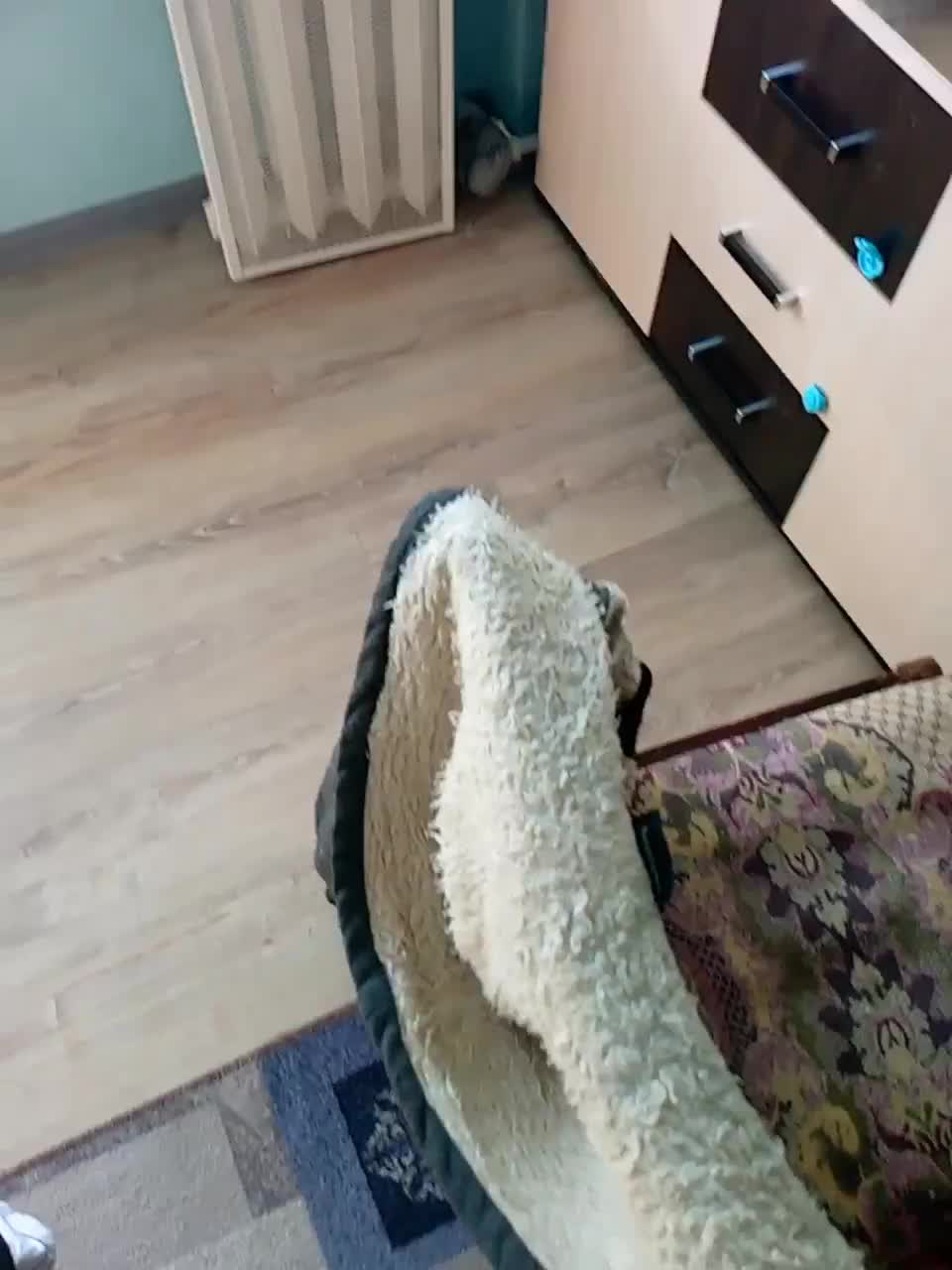 View or download file ingwar1812 on 2023-02-23 from bongacams