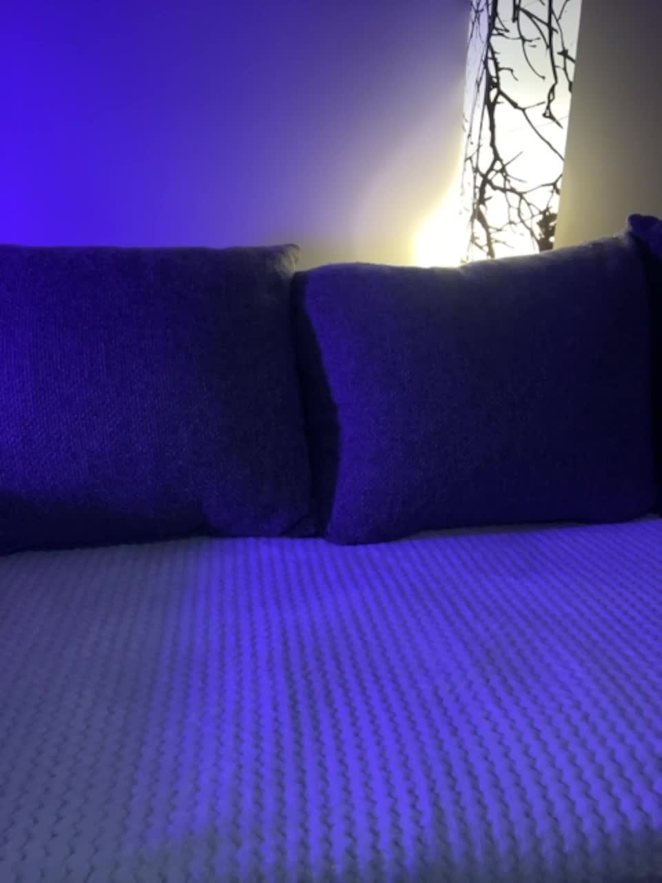 View or download file sweetbabyxs on 2023-02-24 from bongacams