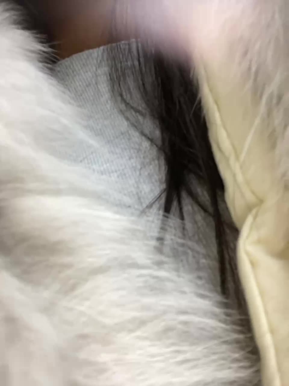 View or download file black_lexi1 on 2023-02-25 from bongacams