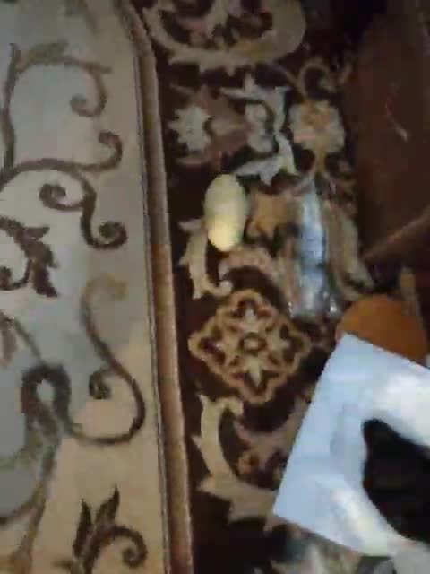 View or download file esterjohns on 2023-02-25 from bongacams