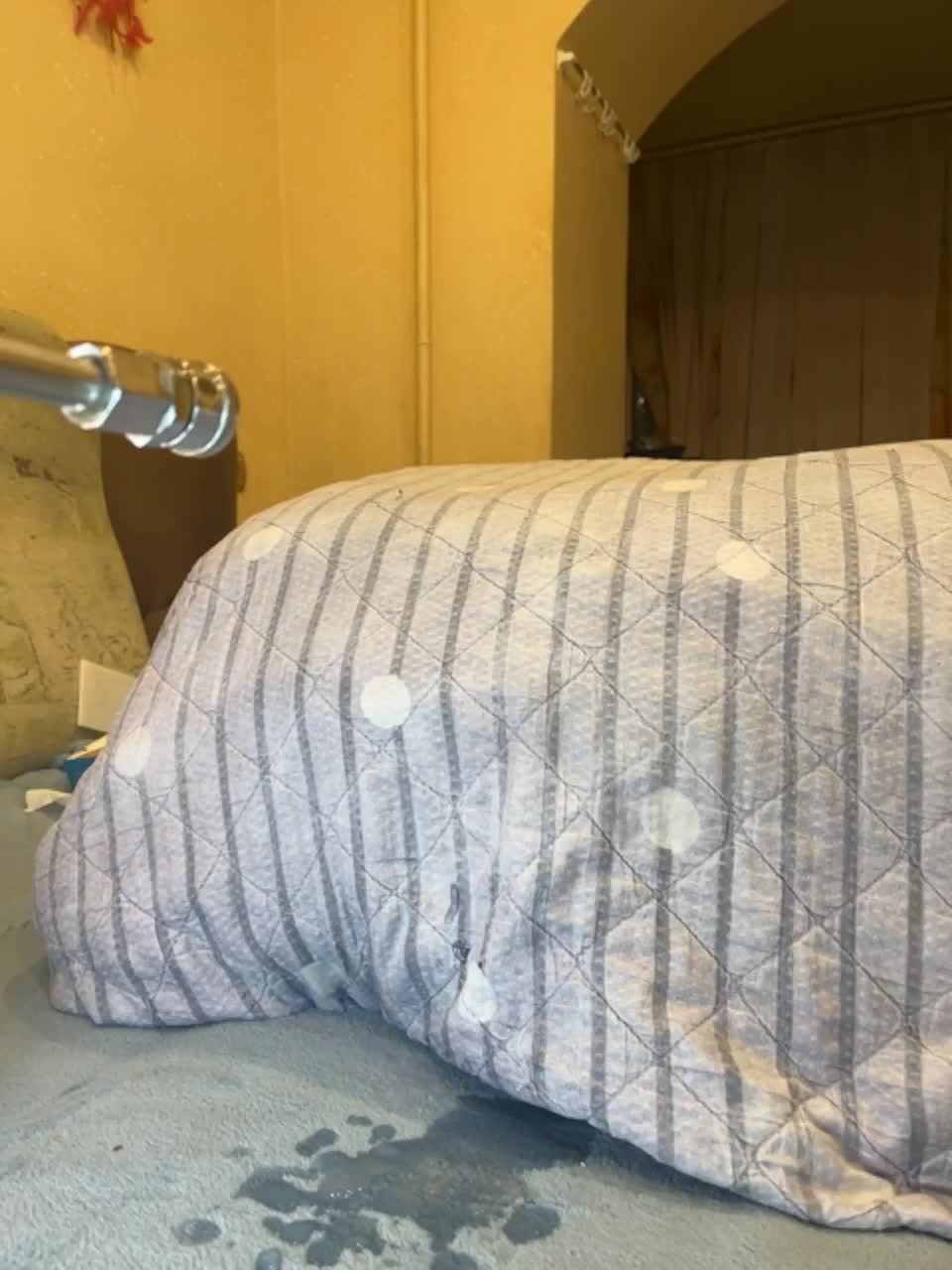 View or download file liza_551 on 2023-02-25 from bongacams