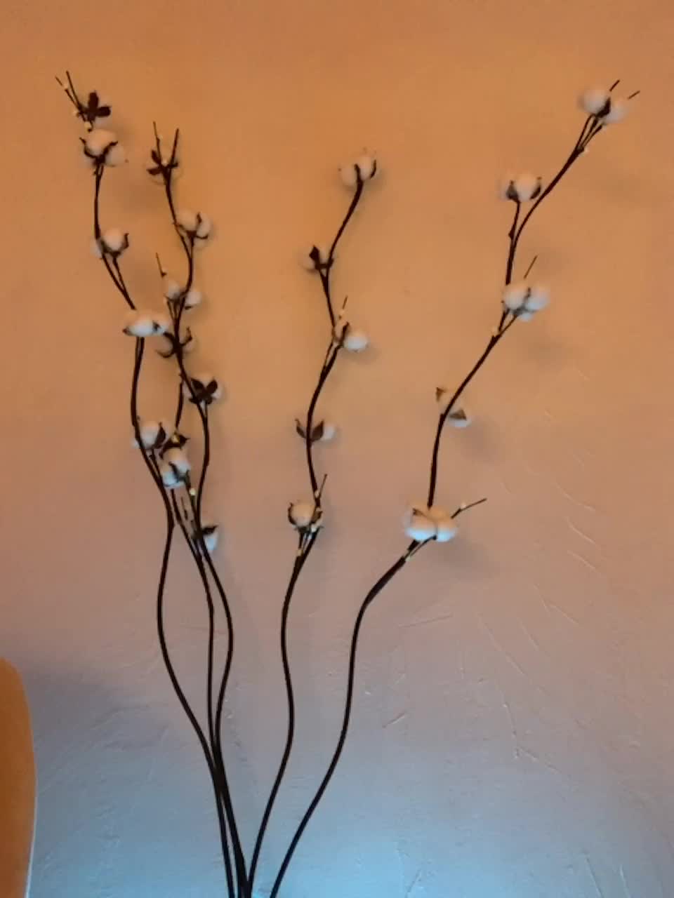 View or download file shawty420 on 2023-02-25 from bongacams