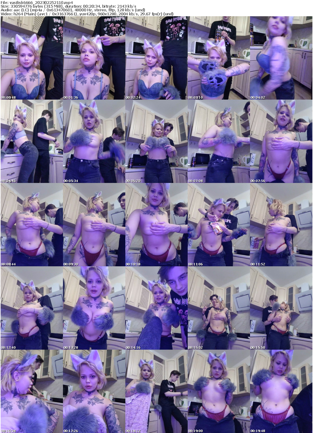 Preview thumb from vasilisk6666 on 2023-02-25 @ bongacams