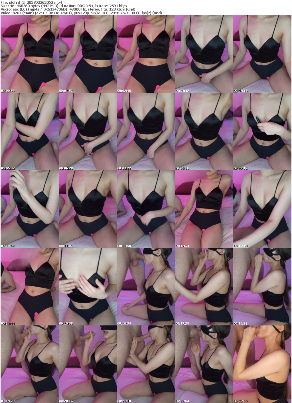 Preview thumb from plohishi2 on 2023-02-26 @ bongacams