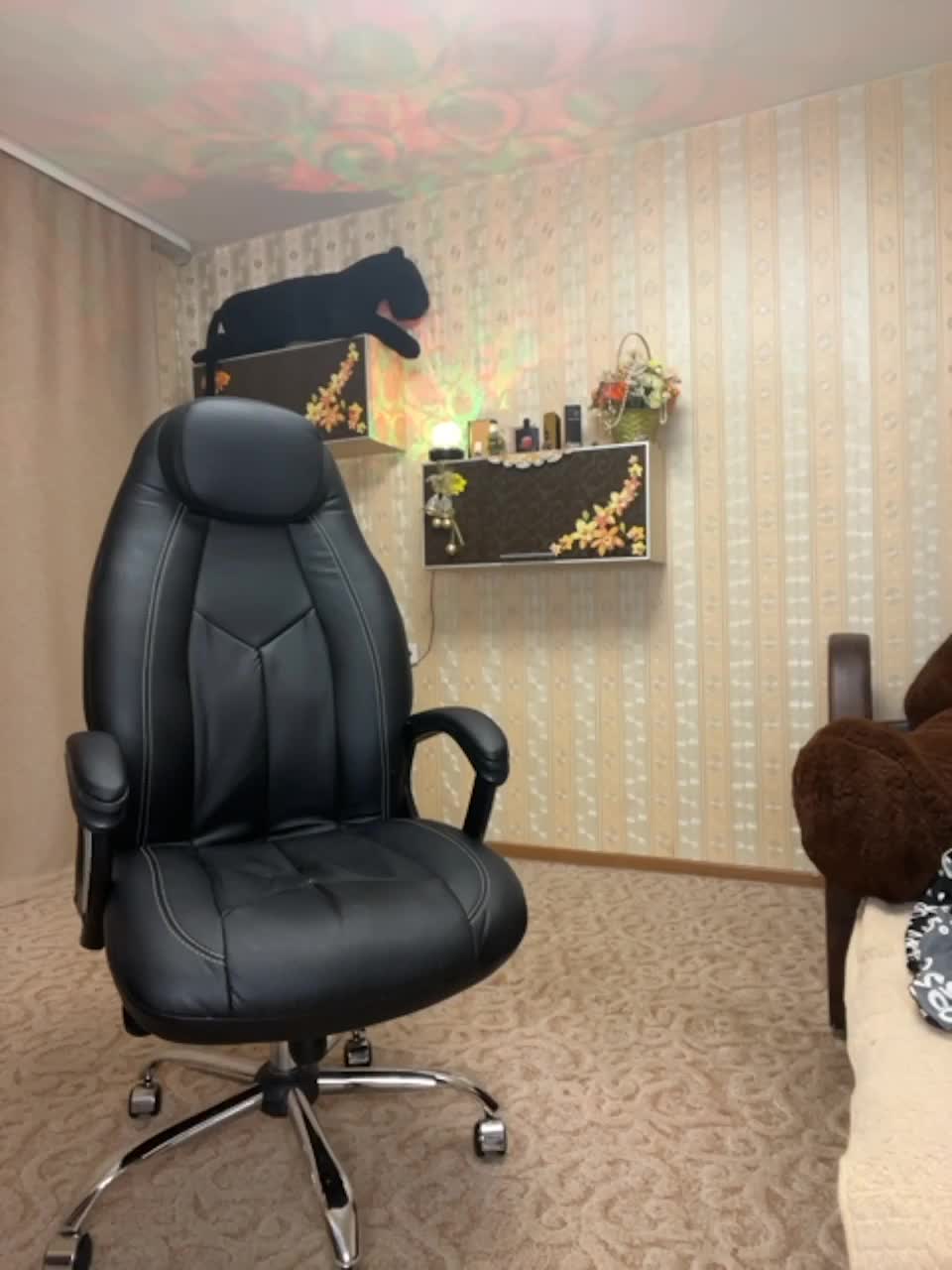 View or download file stella888 on 2023-02-26 from bongacams