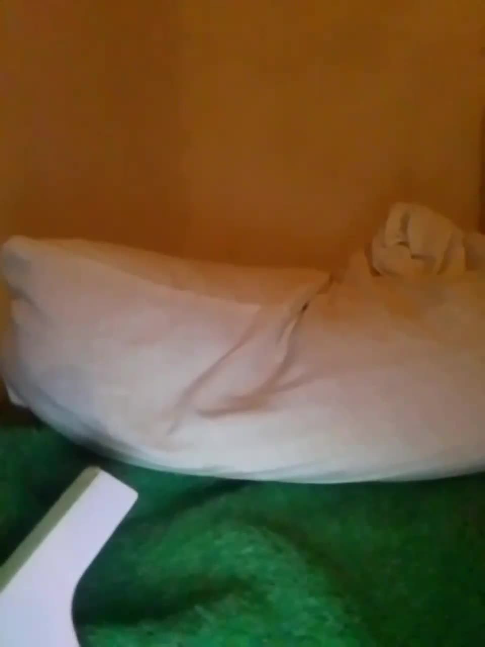 View or download file yarovaya on 2023-02-26 from bongacams