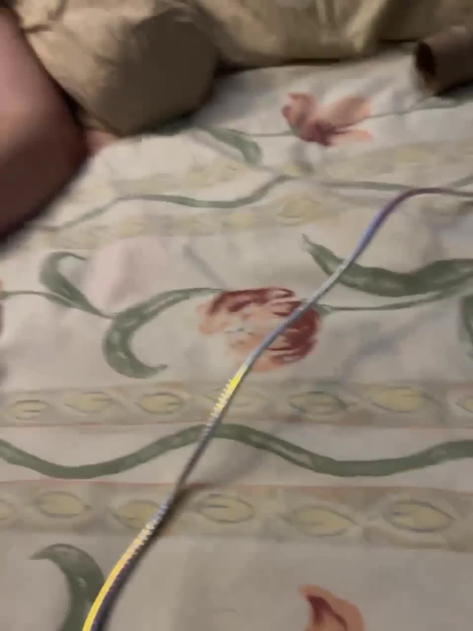 View or download file daddyndslut on 2023-02-28 from bongacams