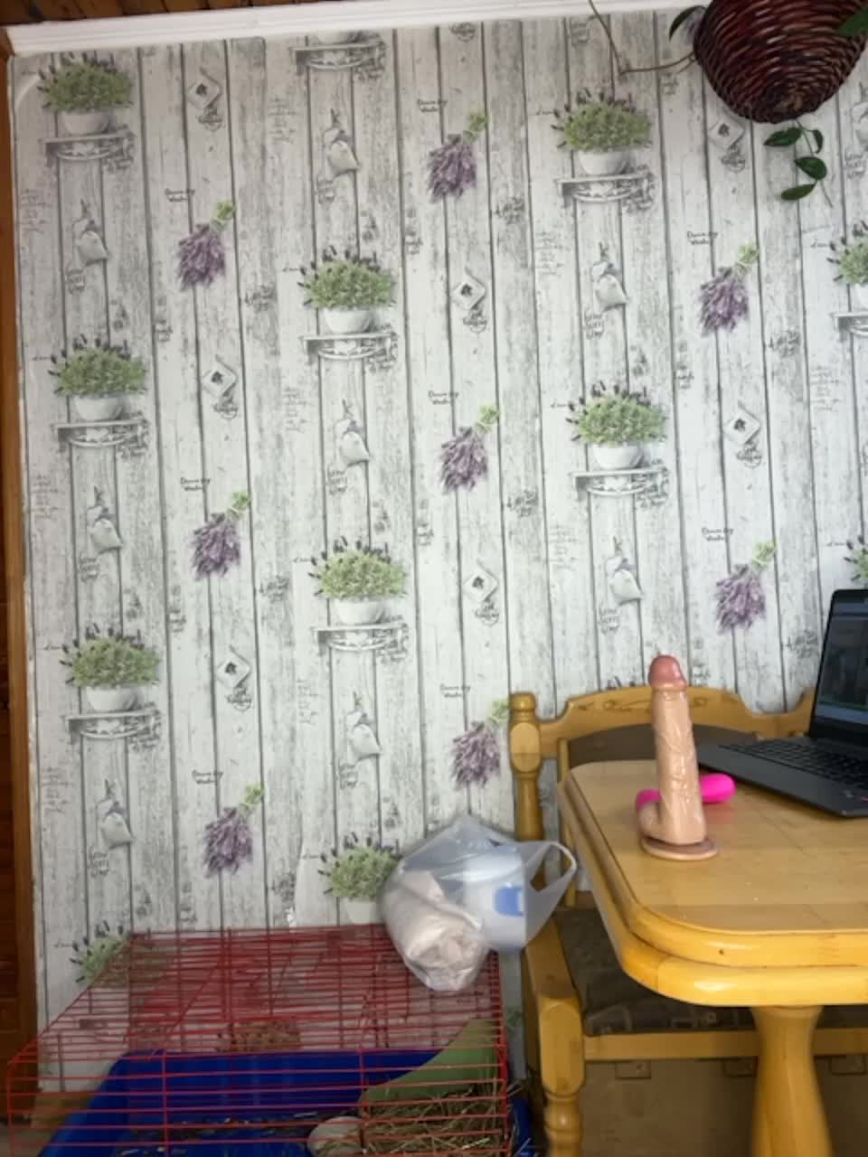 View or download file dandimilk on 2023-03-01 from bongacams