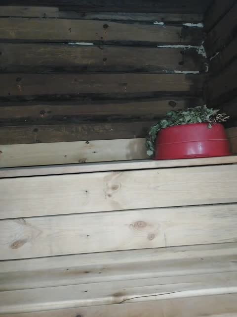 View or download file mussypussy222 on 2023-03-02 from bongacams