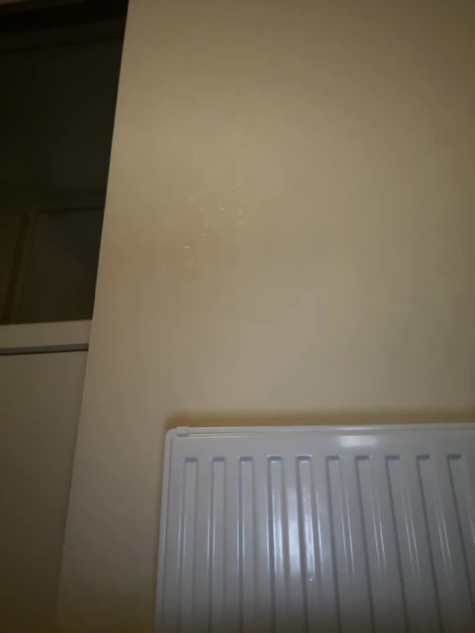 View or download file oky on 2023-03-04 from bongacams