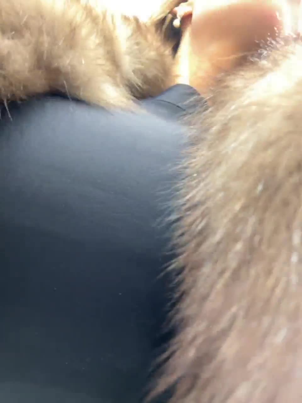 View or download file blondinochkaa on 2023-03-20 from bongacams