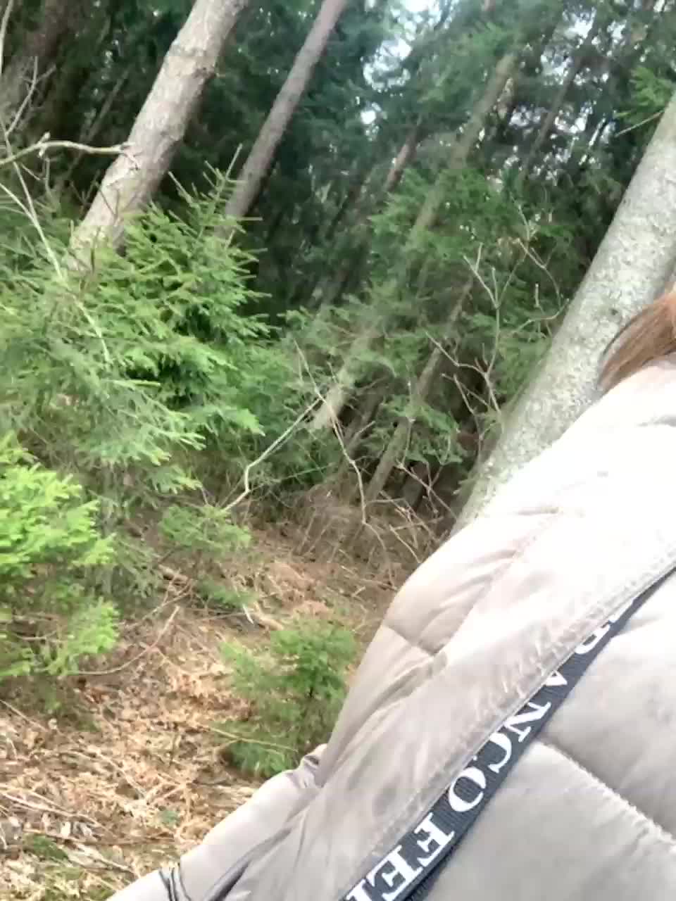 View or download file ledi1 on 2023-03-20 from bongacams